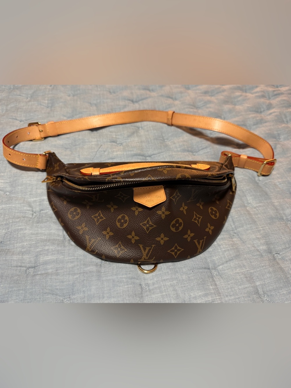 LV Monogram Canvas Belt Bag